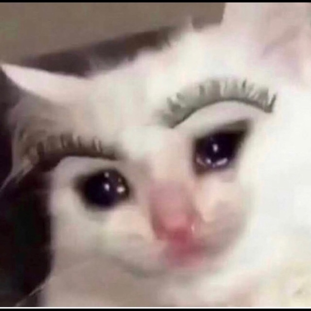 Meet your Posher, Betsy